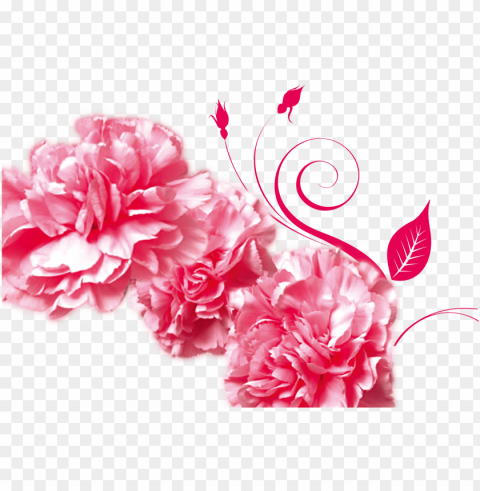 mothers day gratitude advertising carnation - 母亲 节 PNG images with no limitations