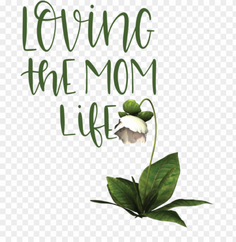 Mother's Day Herbal medicine Leaf Floral design for Love You Mom for Mothers Day PNG images with alpha transparency selection