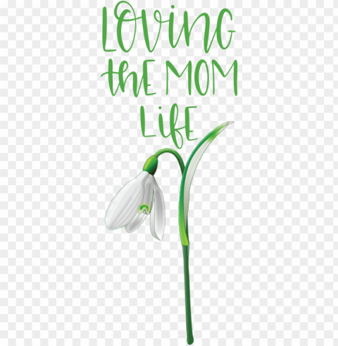 Mother's Day Leaf Plant stem Green for Love You Mom for Mothers Day PNG for web design