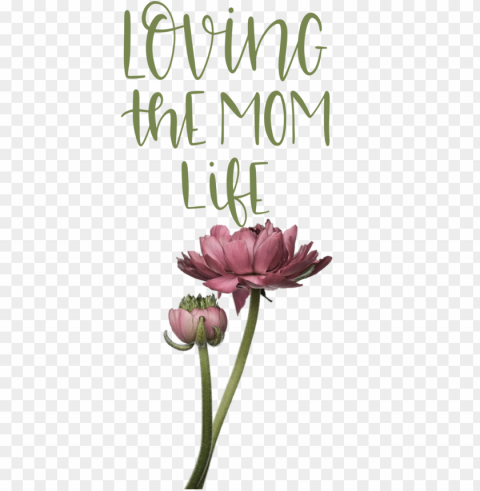 Mother's Day Mother's Day Father's Day Flower for Love You Mom for Mothers Day PNG for personal use