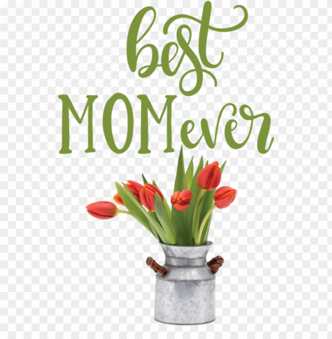 Mother's Day Mother's Day Floral design Valentine's Day for Happy Mother's Day for Mothers Day PNG for overlays PNG transparent with Clear Background ID e9bc455f