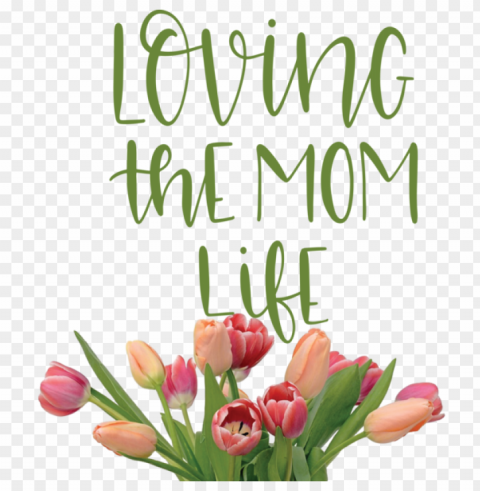 Mother's Day Mother's Day Greeting card Floral design for Love You Mom for Mothers Day Isolated Subject in HighResolution PNG