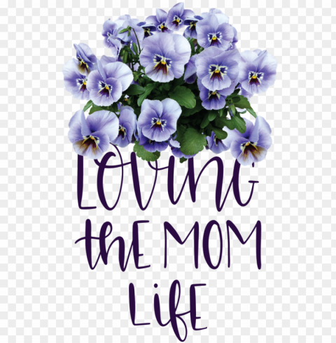 Mother's Day Pansy Violet Drawing for Love You Mom for Mothers Day PNG Graphic Isolated on Clear Background Detail