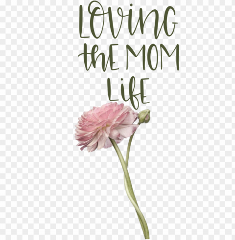 Mother's Day Plant stem Cut flowers Petal for Love You Mom for Mothers Day PNG graphics with alpha transparency bundle