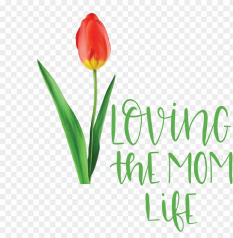 Mothers Day Plant Stem Cut Flowers Tulip For Love You Mom For Mothers Day PNG Graphics With Transparent Backdrop