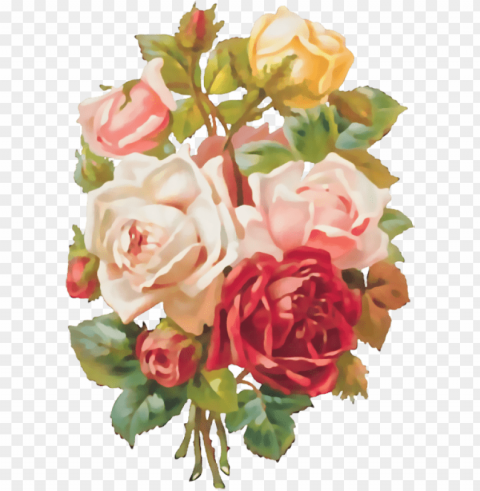 mother's day roses throw blanket Transparent background PNG gallery
