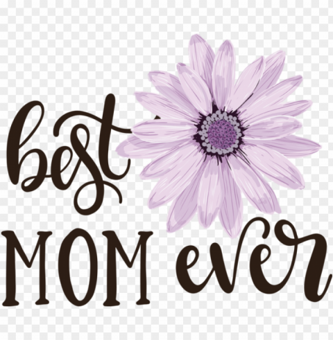 Mother's Day Sticker Daisy Sticker Design for Happy Mother's Day for Mothers Day PNG Image with Transparent Isolation