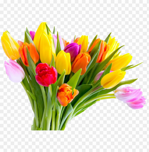 mothers day tulip flower bouquet - tulips for mother's day PNG graphics