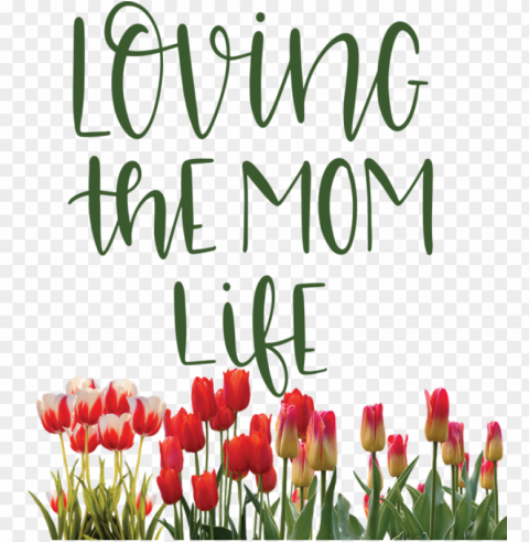 Mothers Day Tulip Flower Cut Flowers For Love You Mom For Mothers Day PNG Art