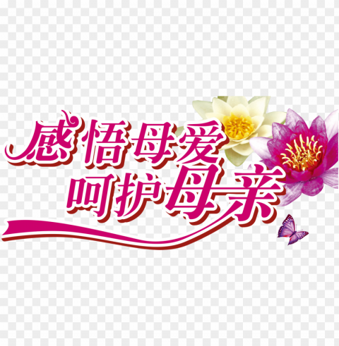 mothers day typography- 母亲 节 PNG with transparent background for free