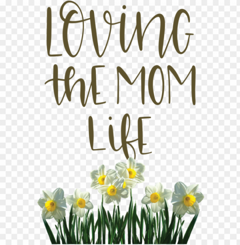 Mother's Day Wild daffodil Flower Jonquil for Love You Mom for Mothers Day PNG images with transparent layering