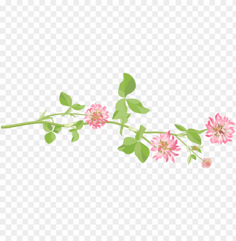 mothers daythank you mom - beautiful flowers in soft colors beach towel PNG isolated
