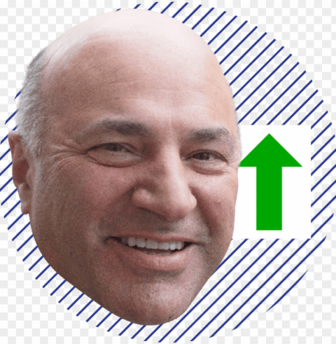 Mp Rank Web - Kevin Oleary Transparent Background PNG Isolated Icon