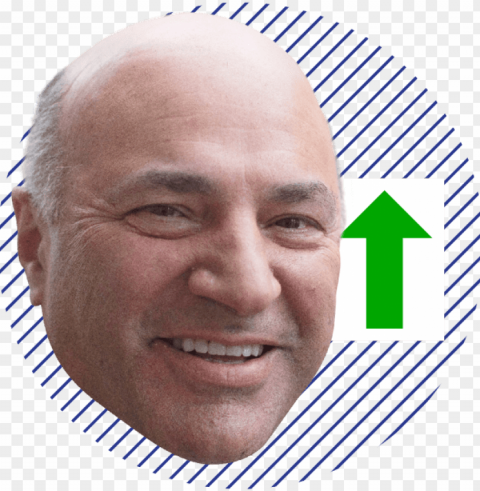 mp rank web - kevin o'leary Transparent Background PNG Isolated Icon PNG transparent with Clear Background ID 94432552