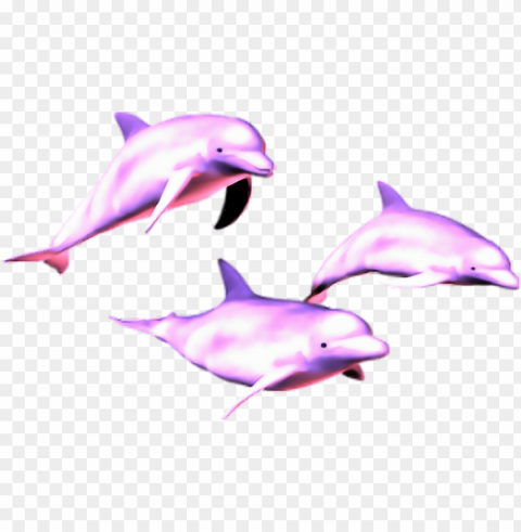 mq pink dolphin dolphins animal - dolphin vaporwave PNG graphics with clear alpha channel