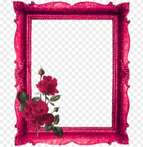 mq red roses frame frames border borders - picture frame Isolated Graphic with Transparent Background PNG