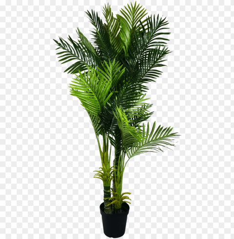 multi trunk artificial hawaii palm tree - fishtail palm indoor Transparent PNG images set