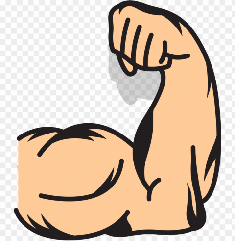 muscle arms muscle arms clip art - strong arms clip art PNG transparent photos comprehensive compilation