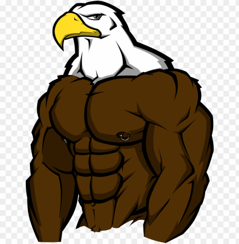 muscle bird of prey by wolfoxokamichan - buff eagle PNG images without watermarks