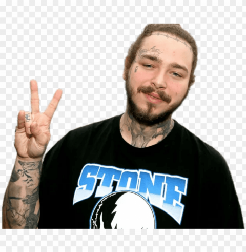 music stars - post malone face tattoos always tired Transparent Background PNG Isolated Icon