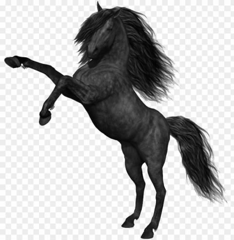 mustang horse photos - black horse Clean Background Isolated PNG Illustration