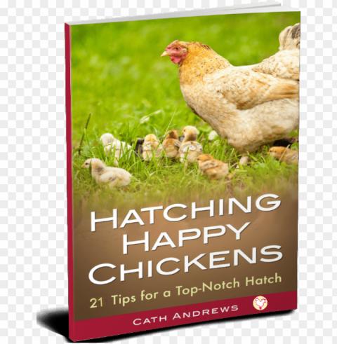 my kindle book - raising chickens backyard chickens for beginners Clean Background Isolated PNG Image