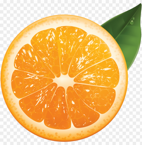 naranja Transparent PNG Isolated Illustration
