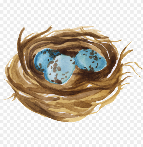 nest Transparent Background Isolated PNG Art