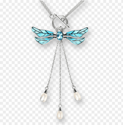 nle barr designs sterling silver dragonfly necklace Isolated Artwork on HighQuality Transparent PNG