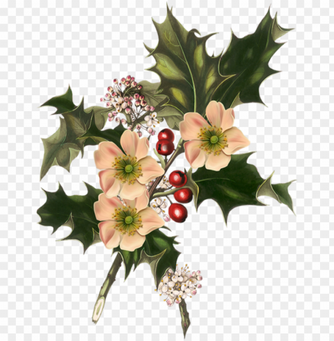 Ноэль Трубы Цветы Омела Короны - giclee painting holly and white flowers 1849 24x18in Isolated Artwork on Transparent Background PNG