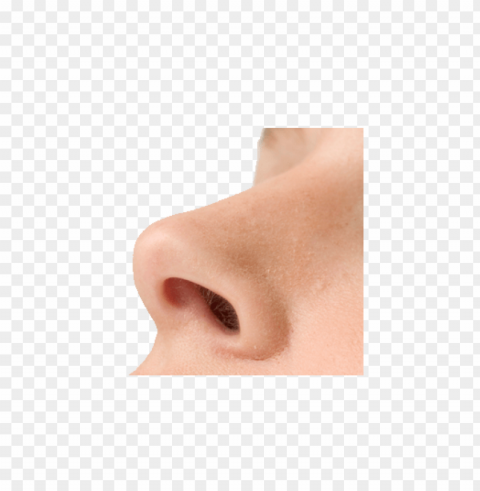 nose up PNG images with transparent layering PNG transparent with Clear Background ID 206ac49b