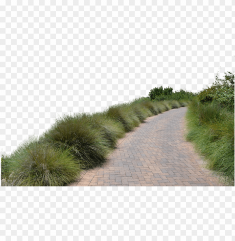 o to image - grass path Isolated Artwork on Clear Transparent PNG