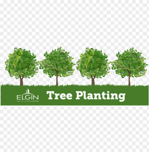 o to image - tree planting clip art PNG photo without watermark