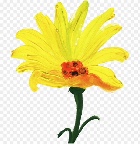 o to image - yellow flower paint Transparent background PNG photos PNG transparent with Clear Background ID 9bfab407