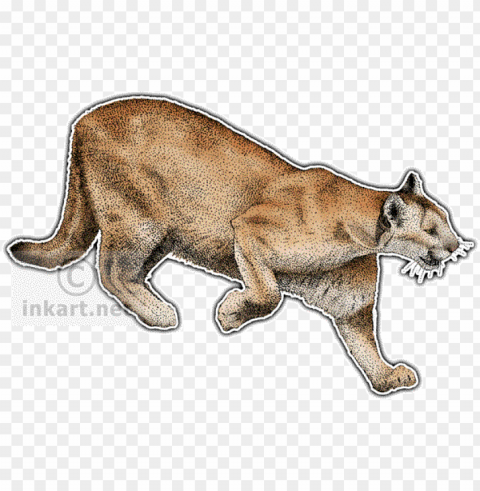 ocelot wild cats north america PNG Illustration Isolated on Transparent Backdrop