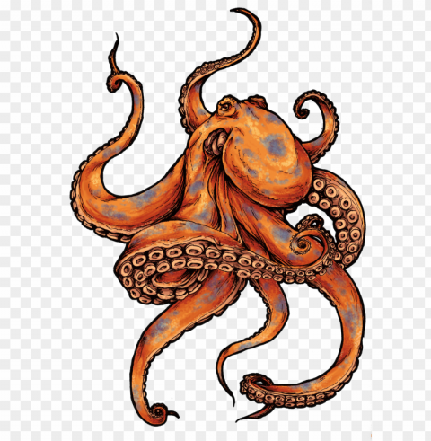 octopus PNG files with clear background variety