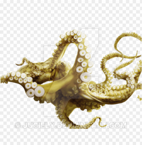 octopus PNG files with transparency