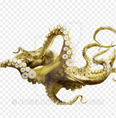 Octopus PNG Files With Transparency