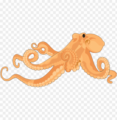 octopus PNG files with transparent backdrop