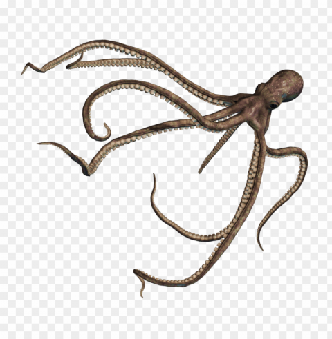 octopus PNG for business use