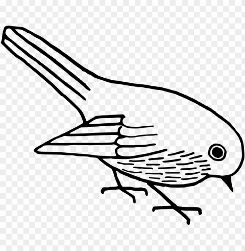 of bird Transparent PNG images extensive gallery