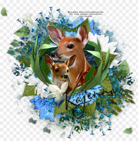 Oh Baby Deer Tag - Roe Deer PNG With Isolated Object