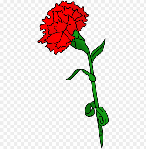 ohio carnation flower clipart - ohio state flower clipart PNG icons with transparency