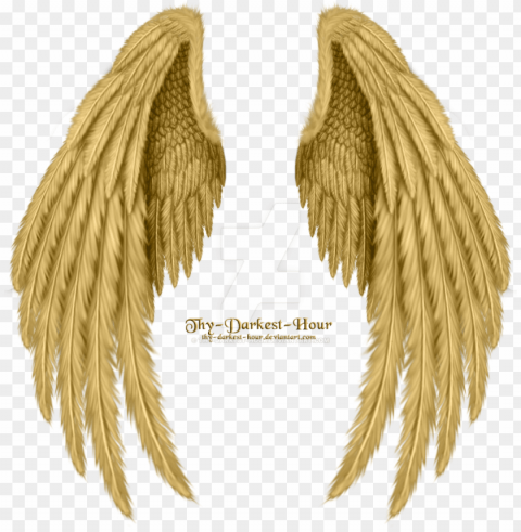 old angel wings image download - golden angel wings PNG with no cost