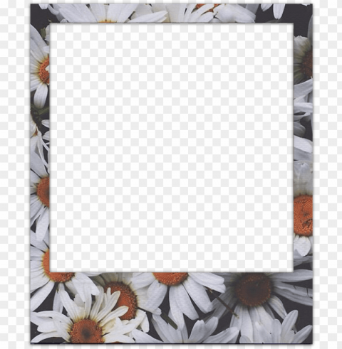 old but gold - picture frame PNG with transparent bg