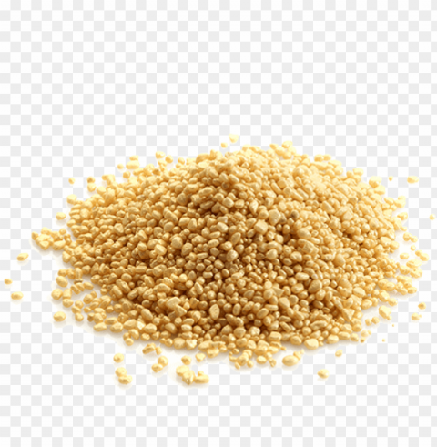 old - mustard seeds Isolated Artwork in HighResolution Transparent PNG