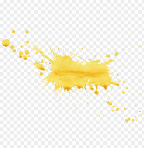 Old Paint Splatter ClearCut Background PNG Isolation