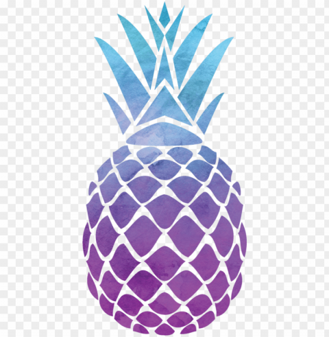 old pineapple print PNG with no background diverse variety