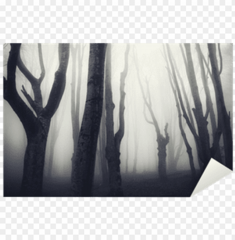 old twisted trees in a spooky dark forest sticker - forest PNG images with transparent layer