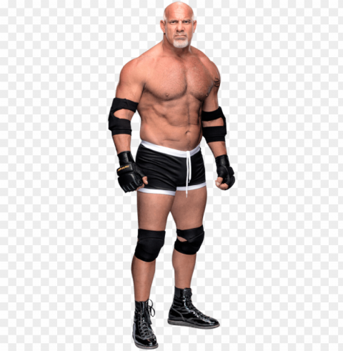 oldberg stat - goldberg wwe Transparent PNG Isolated Item with Detail